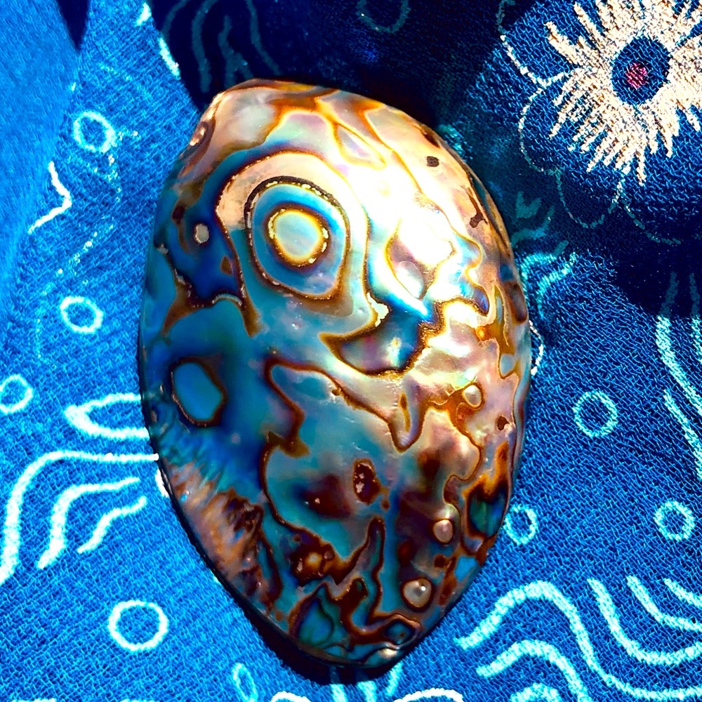 Beautiful Abalone Shell with MultiIridescent Hues. Double Sided. Was in setting.